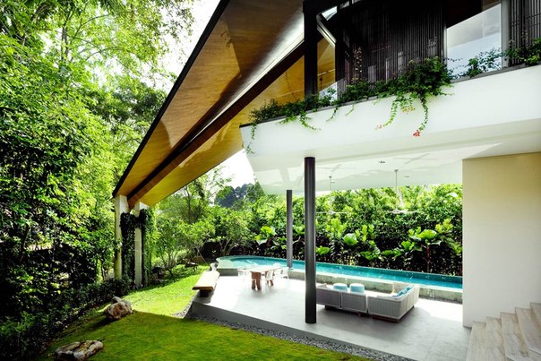 Архитектурная студия K2LD выполнила дизайн частного дома из двух трапециевидных частей обращённых на заднюю часть треугольного участка с пальмами и пышной растительностью.