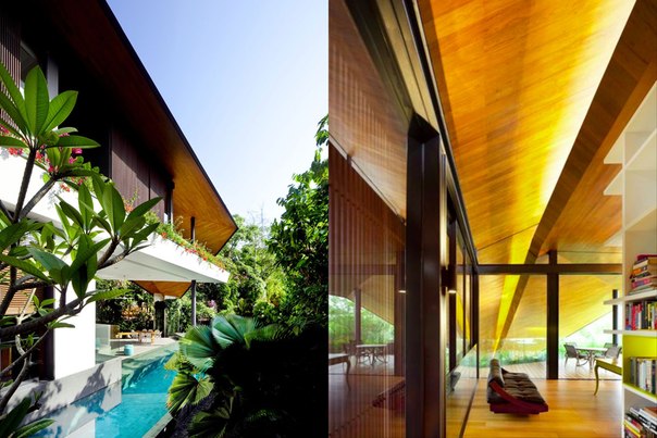 Архитектурная студия K2LD выполнила дизайн частного дома из двух трапециевидных частей обращённых на заднюю часть треугольного участка с пальмами и пышной растительностью.