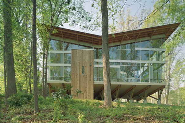 Архитектурная студия Frank Harmon выполнила дизайн загородного дома для одной женщины, пожелавшей драматичный дом посреди деревьев с видимыми строительными конструкциями.