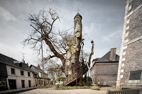 Во Франции растет дуб, которому около тысячи лет. Но знаменит он не своим возрастом, а тем, что внутри него расположены две часовни.