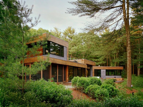 Архитектурная студя Robert Young выполнила дизайн частного дома в сосновом бору с видом на пруд.
