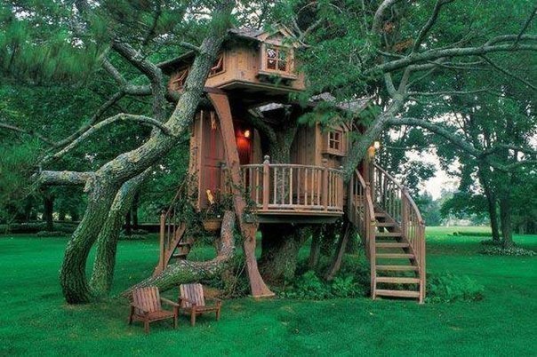 Дома на деревьях.