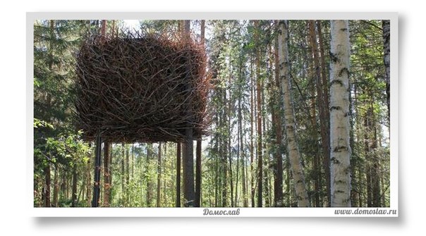 Treehotel - это лесной отель в Швеции для любителей спрятаться в лесу и остаться наедине с природой. Когда вокруг поют птицы, пожалуй, приятно будет залезть в такое гнездо, отгородившись от дел и суеты.