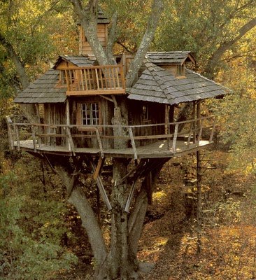#Дом на дереве.