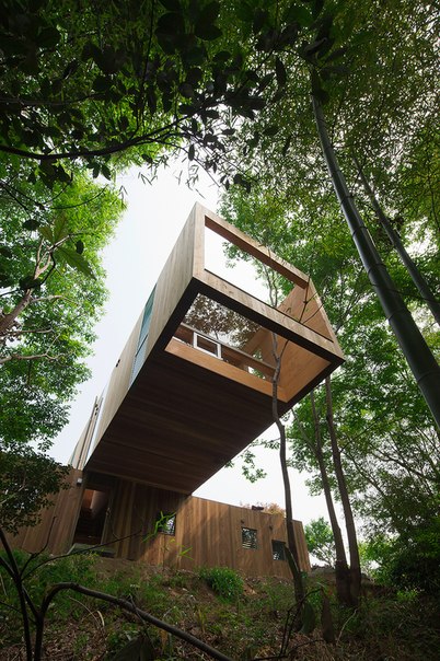 Нависающий над лесом жилой дом в Японии