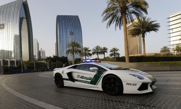 Полиция в Дубаи ))