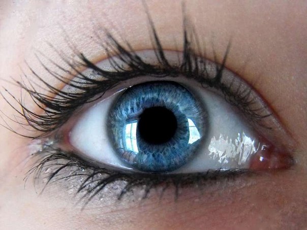 Голубой цвет глаз — это результат мутации в гене HERC2, из-за которой у носителей такого гена снижена выработка меланина в радужной оболочке глаза. Возникла эта мутация примерно 6—10 тыс. лет назад на Ближнем Востоке, так что все люди с голубыми глазами могут считаться родственниками.