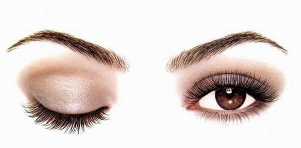 Одно моргание человеческого глаза длится приблизительно 0,05 секунды. Если сложить все время, которое занимают моргания, то получится, что около пяти лет мы живем с закрытыми глазами…