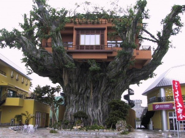Дом на дереве - отличный вариант обособиться от остальных
