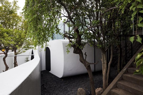 Архитектурная студия N Maeda Atelier выполнила дизайн частного дома Celluloid Jam в Йокогаме, Канагава, Япония.