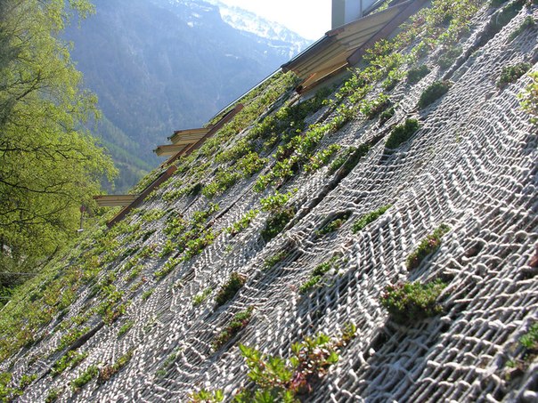 Австрийский домик Вернера Шмидта с 1,2 метровыми стенами