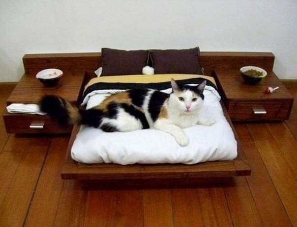 Спальное место для кота