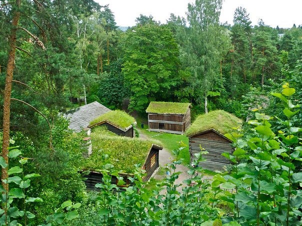 Норвежские дома с зелеными крышами