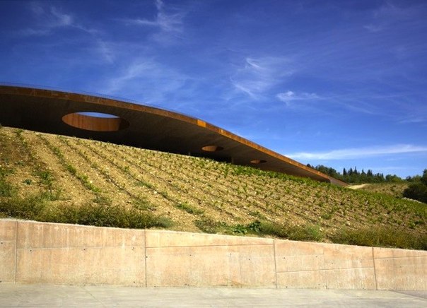 это первое производство, которое благодаря "зеленой" крыше удваивает количество сельскохозяйственных угодий. Для того чтобы разместить виноградники компании Antinori Winery на холмах Кьянти (Chianti hills) между Флоренцией и Сиеной, архитектурная фирма Archea Associati разработала проект здания, на крыше которого размещаются ряды виноградных лоз. Необычная крыша имеет ряд круглых вырезов, напоминающих дырки на сыре, которые позволяют наполнить светом нижние и верхние уровни этого замечательного здания.