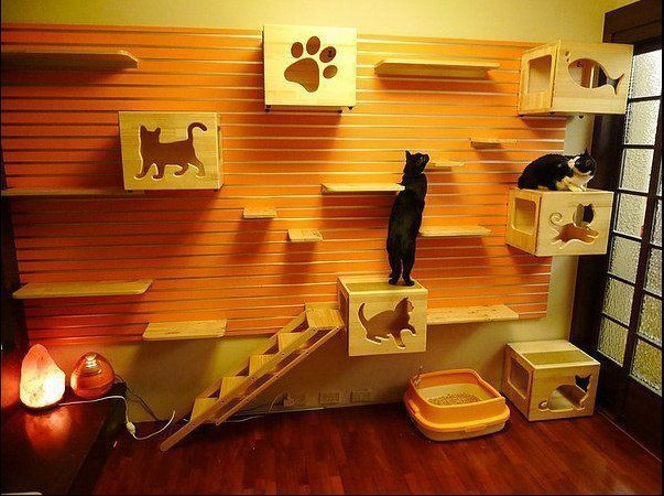 Стена для кошек