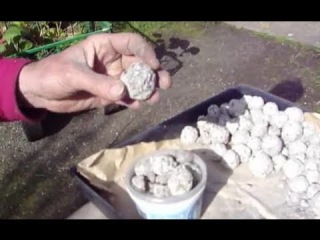 Семенные бомбы seed bombs – мирное оружие эко-партизана