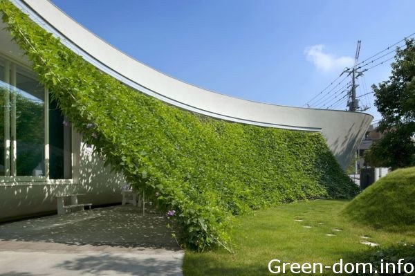 Защитный зеленый экран японских архитекторов