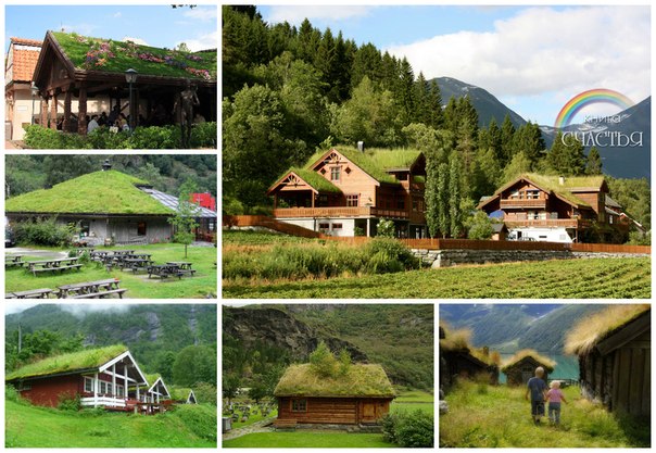 Норвежские дома с "живыми" крышами