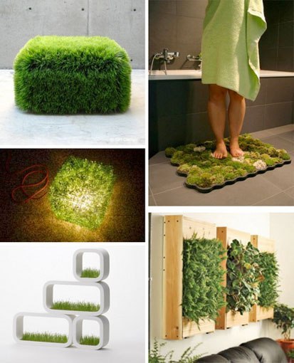 Эко-дизайн: как сделать свой дом «зеленым»