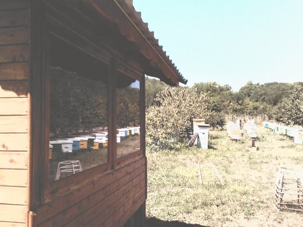 Летом в середине июля закончили домик для Аэроапитерапии (лечением воздухом из улья) в саду Усадьбы пасечника семьи Расстригиных в посёлке Сукко, недалеко от Анапы.