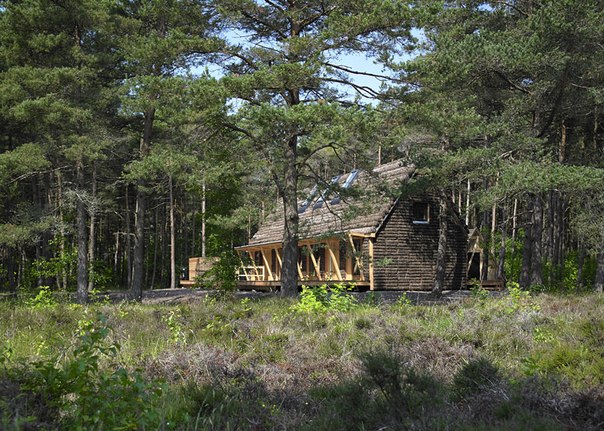 Дом из водорослей: уникальные архитектурные традиции Дании