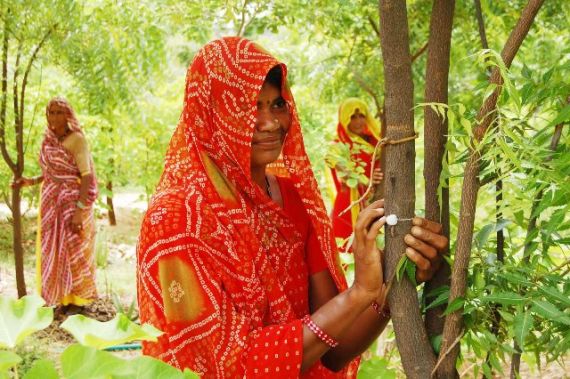 УДИВИТЕЛЬНАЯ ИНДИЯ: 111 деревьев для новорожденной девочки