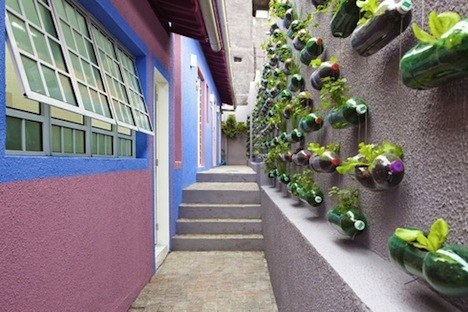Вертикальный сад позволяет разместить большое количество растений на ограниченной территории, что особенно актуально в городах.