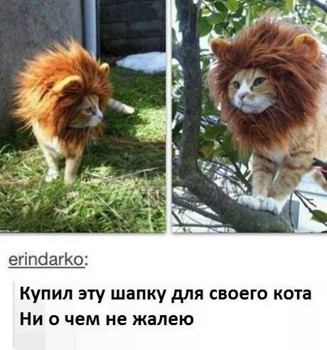 а коту идёт)))))