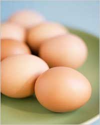 Насколько полезны или вредны куриные яйца для человека? И научная, и «народная» точки зрения в данном случае неоднозначны – в разные периоды времени отношение к данному продукту менялось – от фанатично-поглощающего до отрицательно-недоверчивого. 