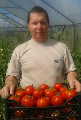 Увлекаясь выращиванием помидор более 10 лет, я вывел для себя рецепт, который уже 5 лет позволяет мне получать гарантированный урожай спелых томатов очень высокого качества. подробнее на моем сайте http://svoitomaty.ru/