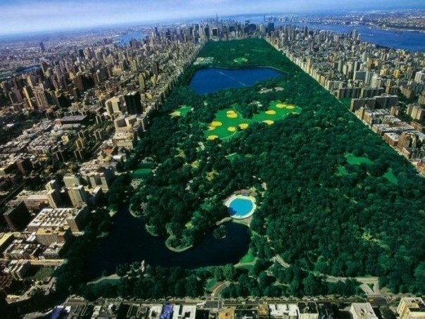 "Центральный парк" в Нью Йорке — оазис среди стали и бетона.