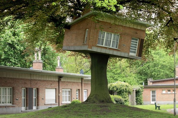 Vogelenzangpark 17b - домик на дереве в бельгийском городе Гент от архитектора Бенджамин Вердонк. Vogelenzangpark 17b установлен на дереве на заднем дворе одного из домов престарелых. Причем, создан он по визуальному образу и подобию этого самого учреждения. #home #дом #Бельгия
