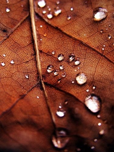 Осень – время подвести итоги и проанализировать сбывшееся. А после этого – смыть проливным дождем все неудачи и вдохнуть свежий воздух будущего, в котором небо будет чистым и безоблачным, прозрачным и невесомым, каким бывает только осенью.