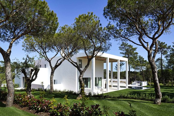 Архитектурная студия de Blacam and Meagher выполнила дизайн двухэтажного частного дома на участке со склоном в окружении соснового бора.