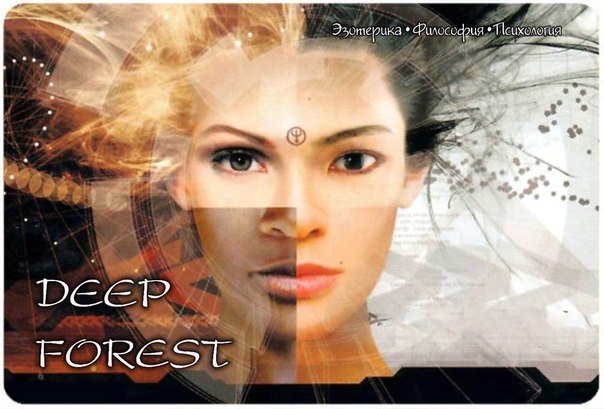 Deep Forest - необычная и этническая музыка в стиле ChillOut.
