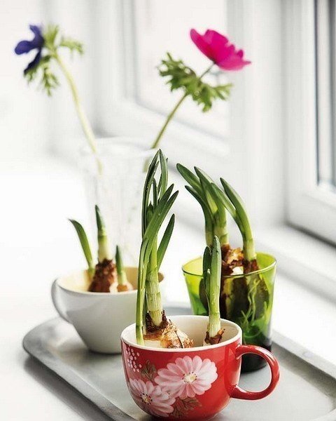 Новый способ  декора - цветы в чашках